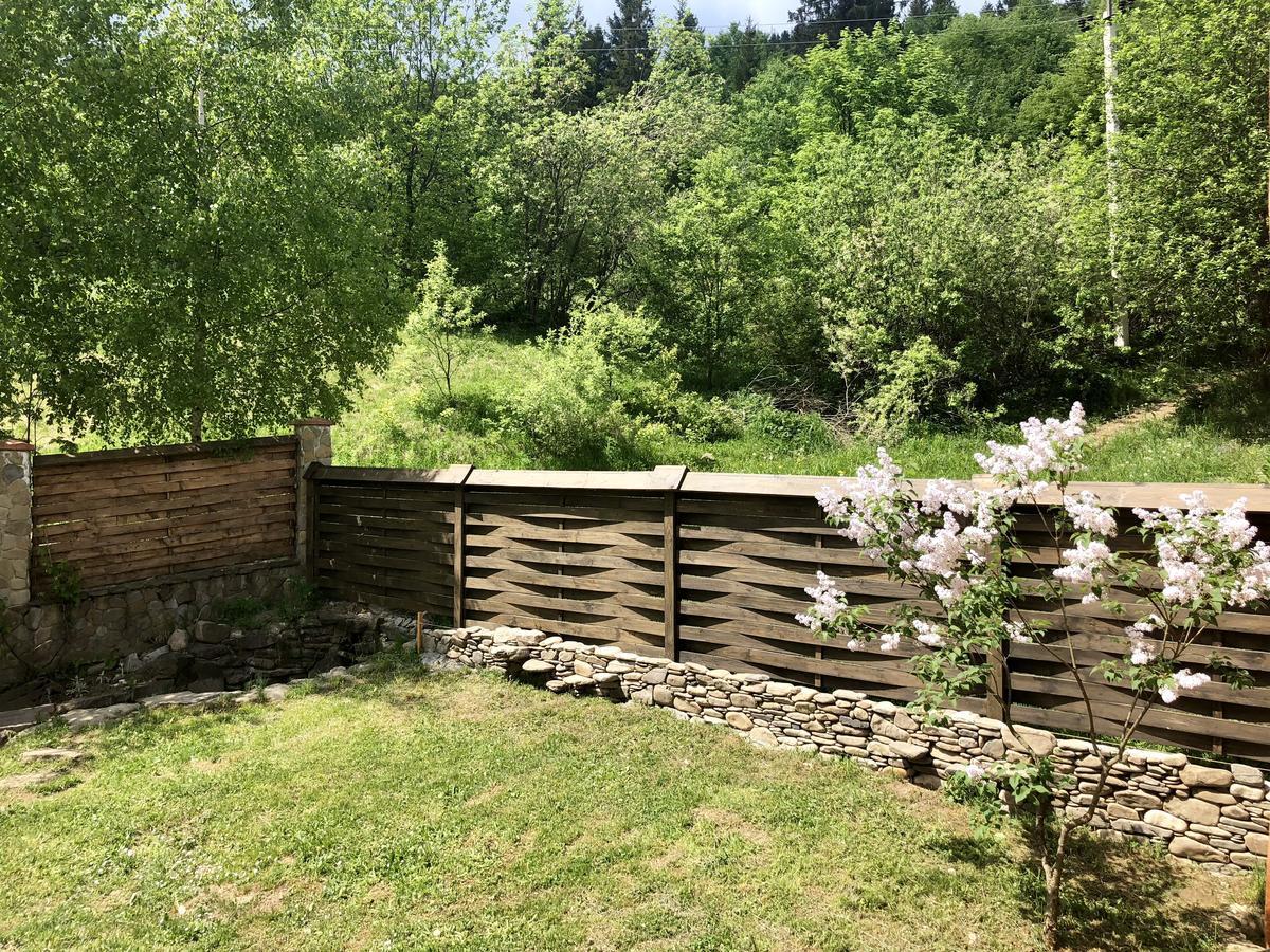 Шалe У Пилипці Chalet Pylypets Pilipets Exterior photo