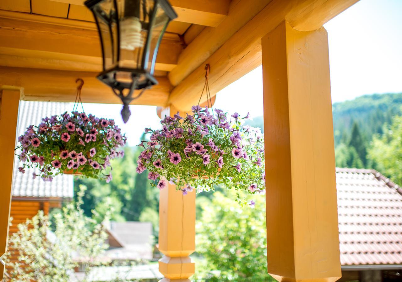 Шалe У Пилипці Chalet Pylypets Pilipets Exterior photo